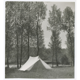 Une tente de camping plantée dans une clairière. 