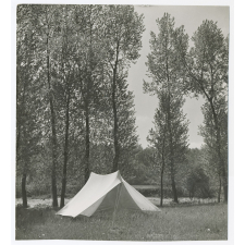 Une tente de camping plantée dans une clairière. 