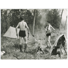 Scoutisme en forêt. 