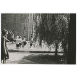 Suresnes. Barbotoire extérieure à l'Ecole de plein air.