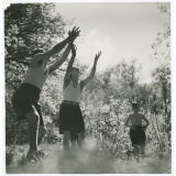 Jeu en forêt. 