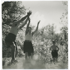 Jeu en forêt. 