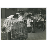 Cage aux oiseaux dans la salle de classe. 
