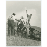Travaux agricoles. 