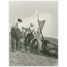 Travaux agricoles.