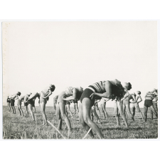 Gymnastique à la campagne.