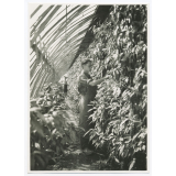 Versailles. Ecole nationale d'horticulture.