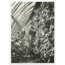 Versailles. Ecole nationale d'horticulture.