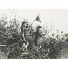 Scoutisme.