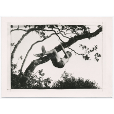 Grimpe dans un arbre.