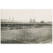Rassemblement sportif au Stade Gerland de Lyon.