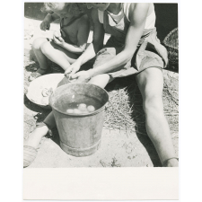 Préparation des champignons. 