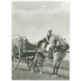 Travaux agricoles. 