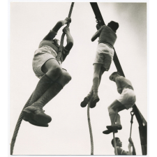 Gymnastique. 