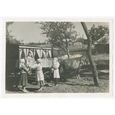 Soyuzphoto N°233536 + (Photo Friedland). Juillet 1936. Une crèche roulante pour enfants dans un kolkhoze d'Ukraine. N.p.m. le fourgon-crêche est arrivé dans les champs. La nounou remet les bébés à leurs mères pour qu'elles les allaitent.
