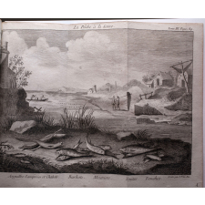 Le Spectacle de la nature, ou entretiens sur les particularités de l'Histoire naturelle, qui ont paru les plus propres à rendre les Jeunes-Gens curieux, et à leur former l'esprit. Tome Cinquième, contenant ce qui regarde l'Homme considéré en lui-même. Nouvelle édition.