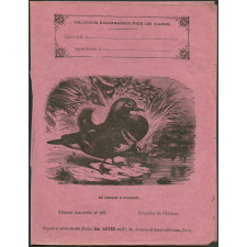 Le canard à éventail : Histoire naturelle n°100