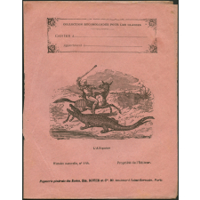 L'alligator : Histoire naturelle n°144