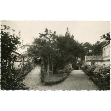 Cours Dacier - Saumur - Haut jardin.