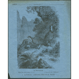 La bartavelle : Histoire naturelle n°255