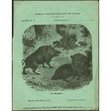 Les sangliers : Histoire naturelle n°173