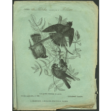 Les petits oiseaux de proie : Histoire naturelle n°182