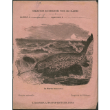 Le narval monoceros : Histoire naturelle