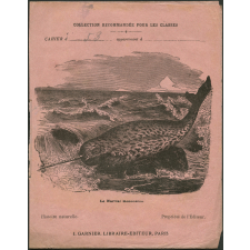 Le narval monoceros : Histoire naturelle
