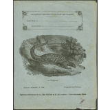Le pangolin : Histoire naturelle n°234