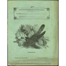 L'engoulevent : Histoire naturelle n°178