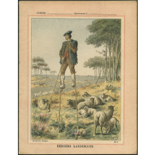 Bergers landescots : Les peuples de la terre n°7