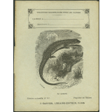 Le lézard : Histoire naturelle n°142