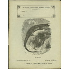 Le lézard : Histoire naturelle n°142