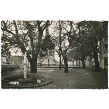 Cours Dacier - Saumur - Cour du Midi.