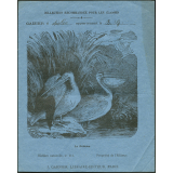 Le pélican : Histoire naturelle n°114