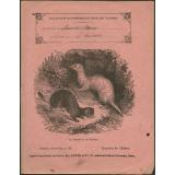 Le furet et la fouine : Histoire naturelle n°285
