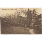 Cours Jeanne d'Arc - Cholet - Jardin.