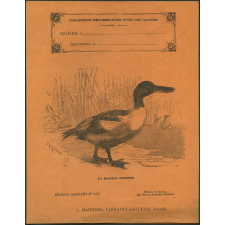Le souchet commun : Histoire naturelle n°263