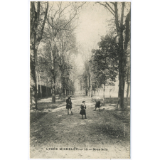 Lycée Michelet - 10 - Sous-bois.