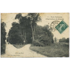 Ecole nationale d'agriculture de Grignon : Allée aux buis