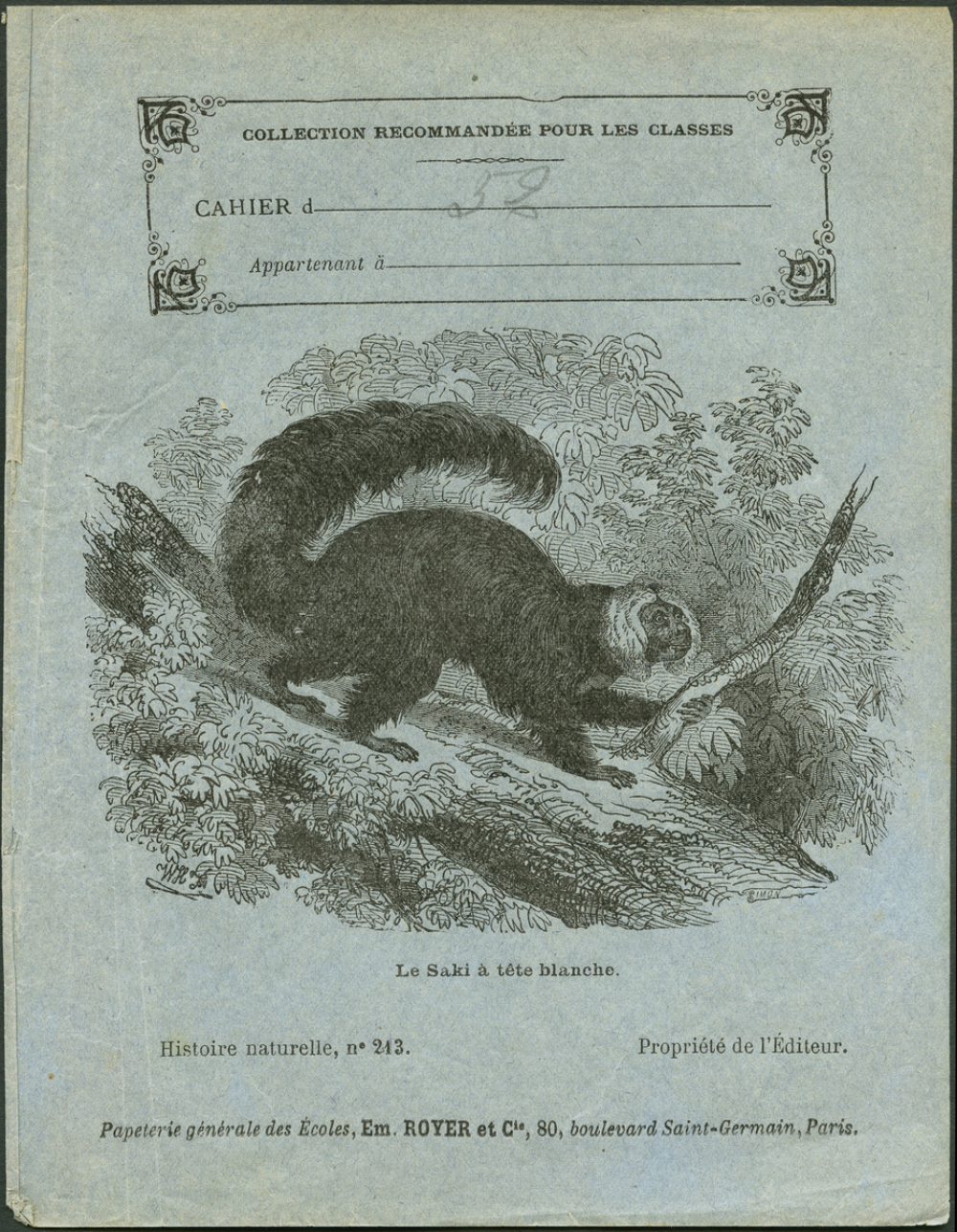 Le saki à tête blanche : Histoire naturelle n°213