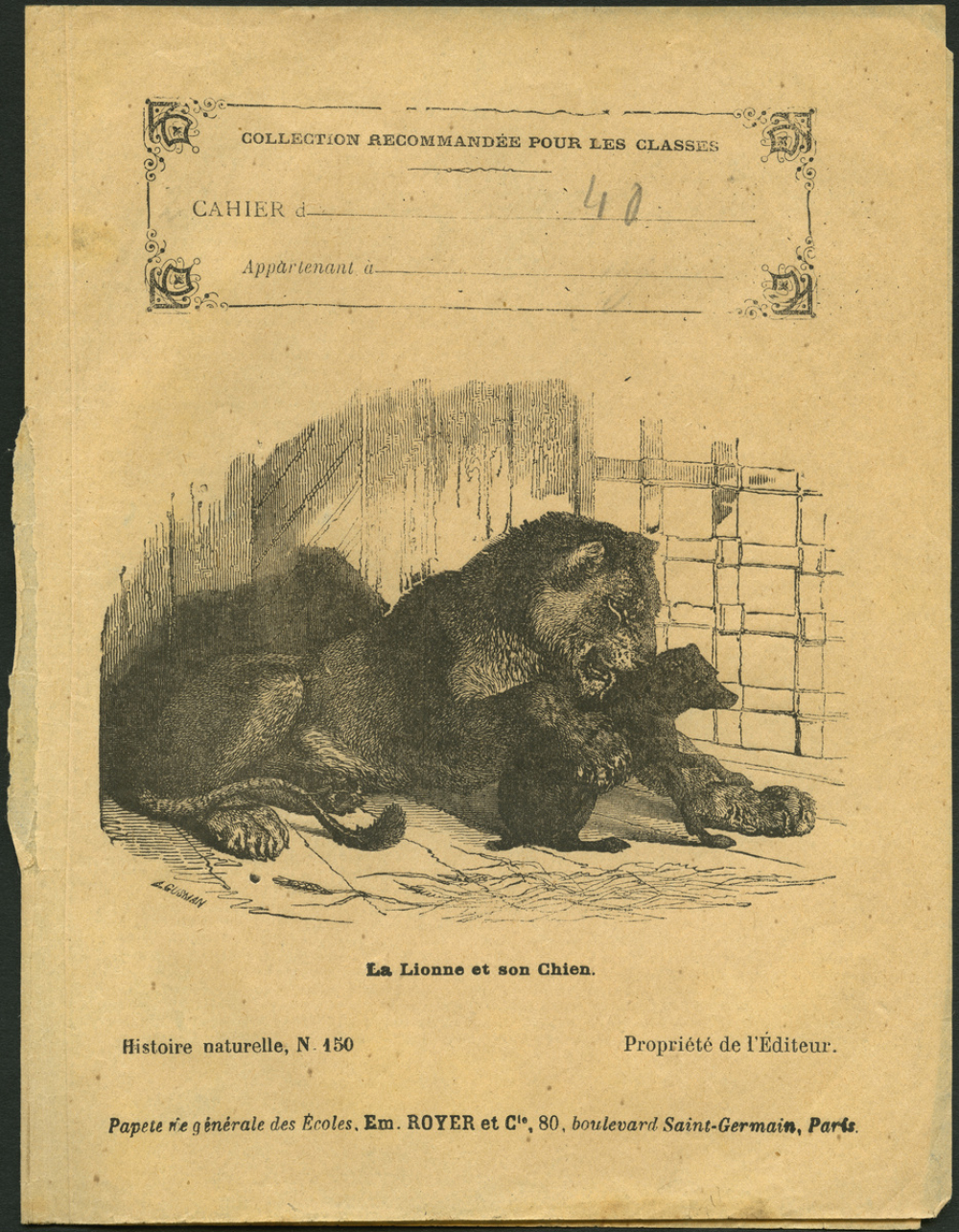 La lionne et son chien : Histoire naturelle n°150
