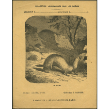 Le furet : Histoire naturelle n°125