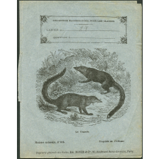Le tupaïa : Histoire naturelle n°116