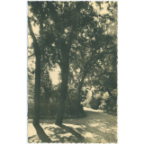 Cours Dupanloup - Boulogne-sur-Seine - Une Allée du Parc.