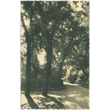 Cours Dupanloup - Boulogne-sur-Seine - Une Allée du Parc.