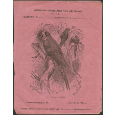 Le mélopsitte ondulé : Histoire naturelle n°20