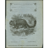 Le panda éclatant : Histoire naturelle n°37