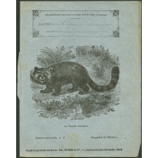 Le panda éclatant : Histoire naturelle n°37
