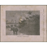 Troupeau d'éléphants